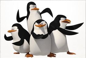 Penguins Madagascar Movie Characters