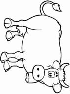 coloring page with a cow