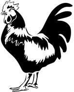 Pig And Rooster Tattoo