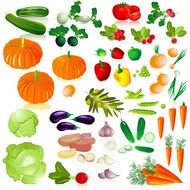 Vegetables set Clip Art drawing