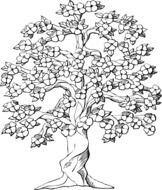 Family Tree Clip Art N30