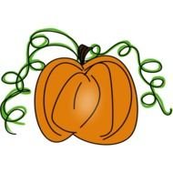 pumpkin with green epaulets as a graphic illustration