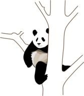 Panda Bear Clip Art N7