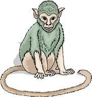 Monkey Clip Art N53