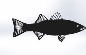 black fish on a white background