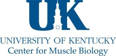 University Of Kentucky Logo Clip Art N2