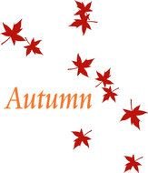 autumn red leaf drawing
