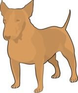 Bull Terrier Clip Art N5