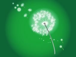 Blowing Dandelion as a graphic illustration