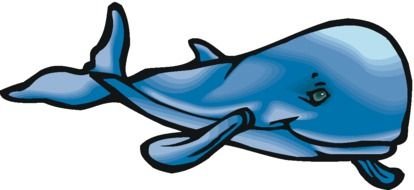 Whale Clip Art N24