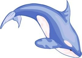 Beluga Whale Clip Art N3