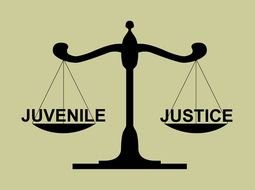 Juvenile Justice System as an illustration