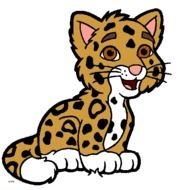 Go Diego Jaguar N2