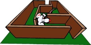 Rat Maze drawing