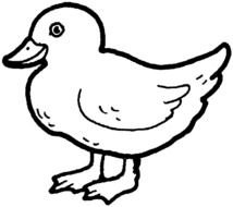 Ä°llustration of the Cute Duck