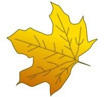maple leaf on the black background