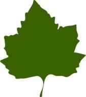 painted green grape leaf
