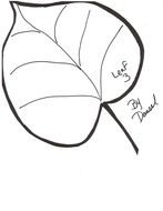 Leaf Stencils Templates