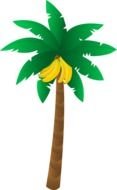 palm tree with bananas as a graphic illustration