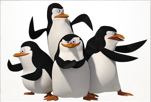 Penguins Madagascar Movie Characters