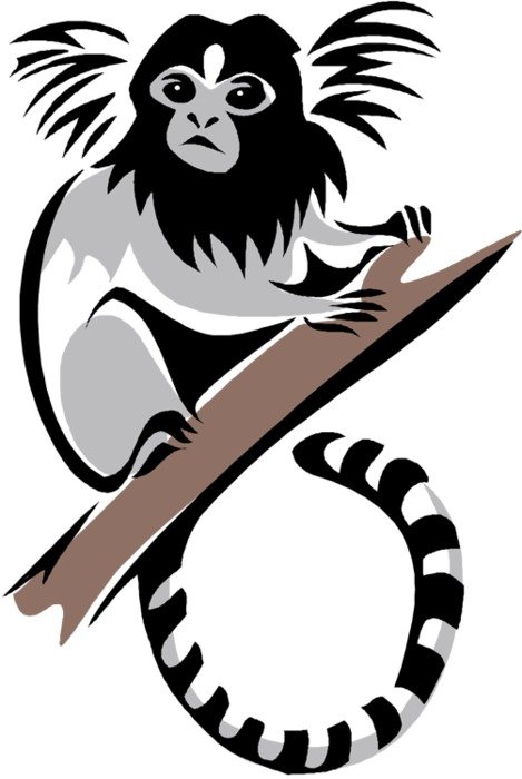Monkey Clipart N2