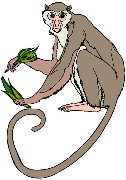 Sock Monkey Clip Art N5