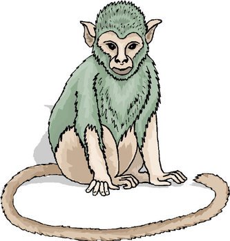 Monkey Clip Art N53