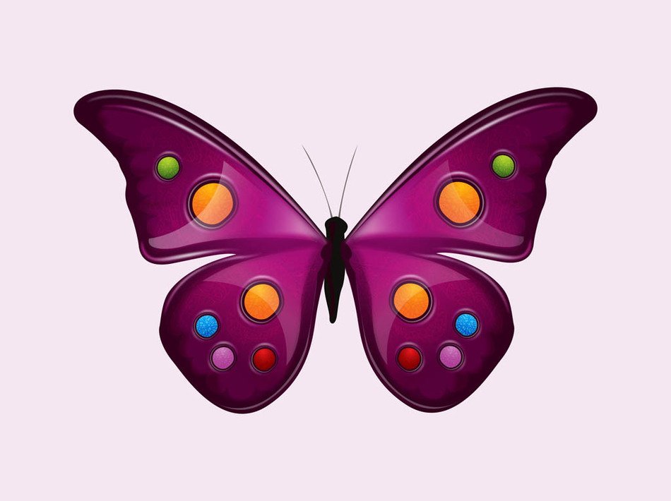 Free Butterfly drawing