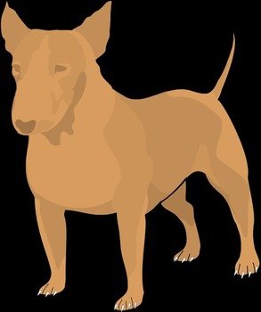Bull Terrier Clip Art N5