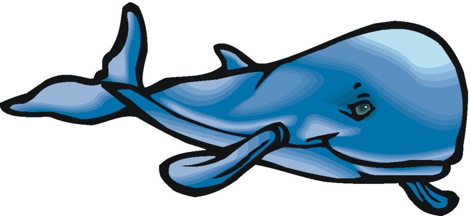 Whale Clip Art N24