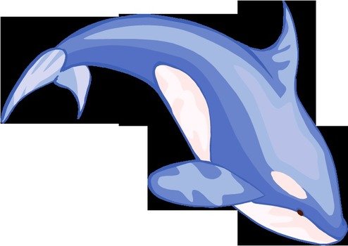 Beluga Whale Clip Art N3