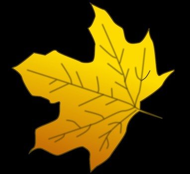 maple leaf on the black background