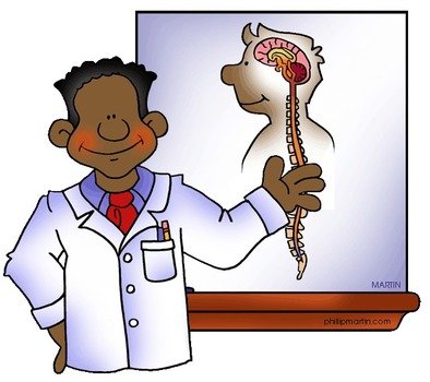 Nervous System Clip Art N3