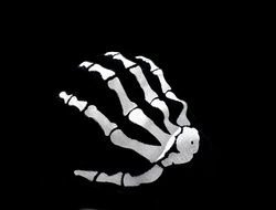 Skeleton Hand drawing