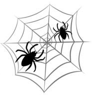 Halloween Spider Web drawing