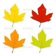 Autumn Leaves Seasons Download