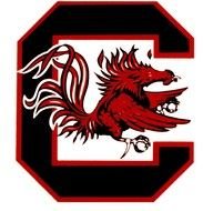South Carolina Gamecocks bird drawing