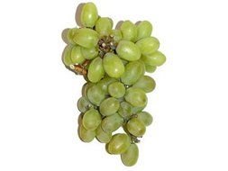 green Grapes drawing