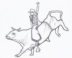 black and white drawing of a man on a bull