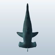Hammerhead Shark Fishing
