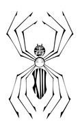 Spider as a graphic illustration