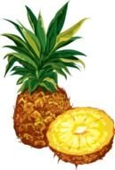 Pineapple with slice, Clip Art