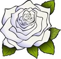 Black And White Rose Clip Art N14