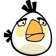 White Angry Bird as a picture for clipart