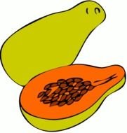 Papaya Clip Art N5