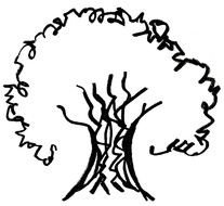 Sycamore as a graphic image