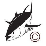 Bluefin Tuna