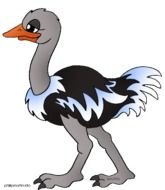 Ostrich Clip Art N4