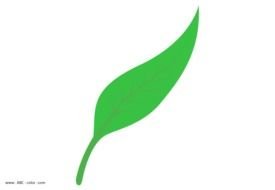 digital green leaf