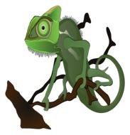 Chameleon Clip Art drawing